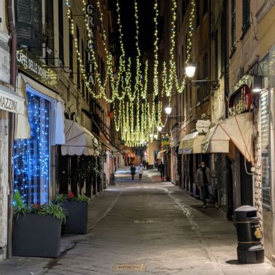 Composizioni artistiche Luminarie Quarantelli