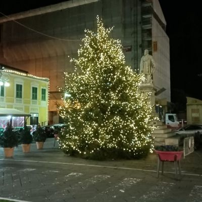 Composizioni artistiche Luminarie Quarantelli