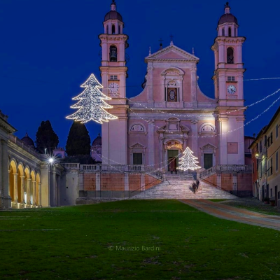 Luminarie a LED Alberi