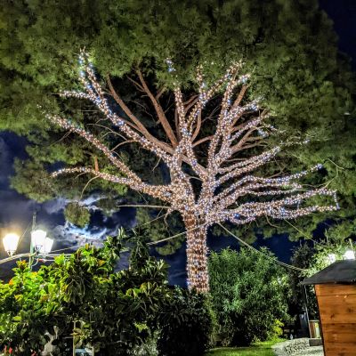 LUMINARIE