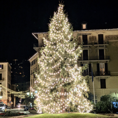 Albero d Natale