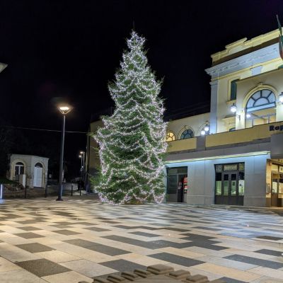 Composizioni artistiche Luminarie Quarantelli