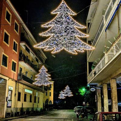 Luminarie Quarantelli Alberi